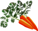0400b5zd-adda-146x120.png