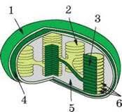0400b7v9-813e-174x159.jpg