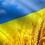 Коробка Юлія Сергіївна