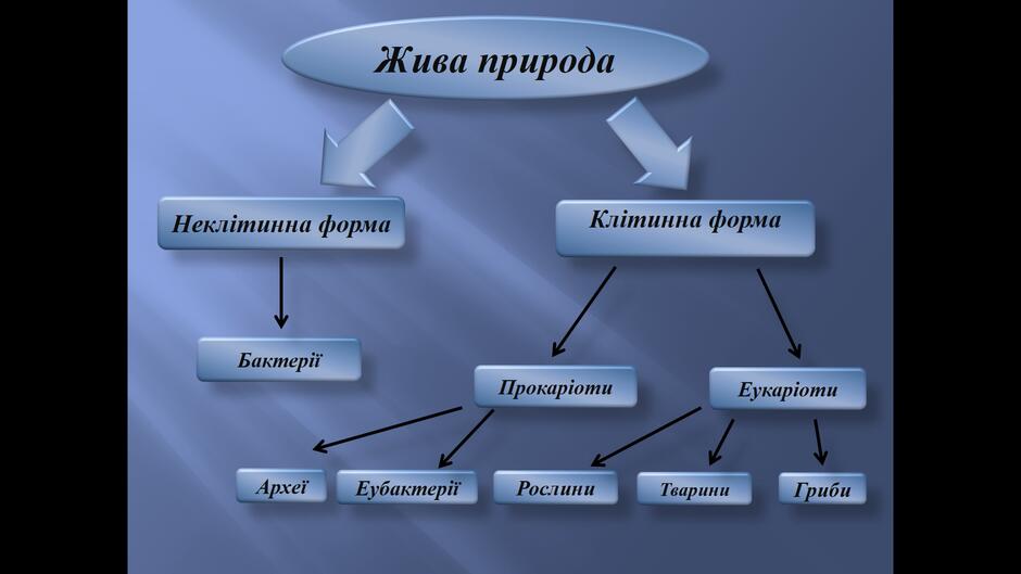 0400bd02-52c2-940x529.jpg