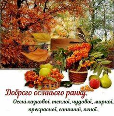 0400bdv4-2af3-236x240.jpg