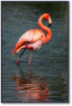 0400bdzx-f511-80x117.png