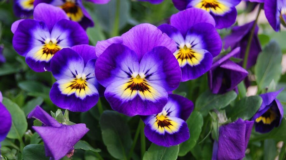 0400bee5-5c18-940x529.jpg