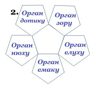 0400bglz-476b-314x293.jpg