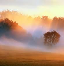 0400bh42-88a1-221x228.jpg