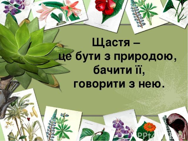 Презентация на тему "Догляд за кімнатними рослинами" скачать бесплатно