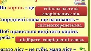 Презентація. "Спільнокореневі слова та форми слова"