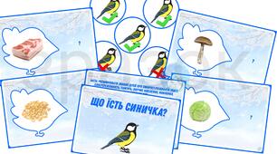 Дидактична гра "Що їсть синичка?"