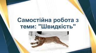Самостійна робота з теми: "Швидкість"