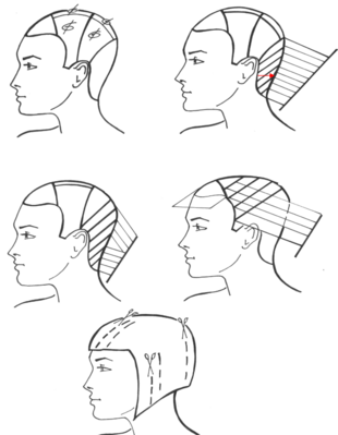 0400blcm-d962-310x399.png