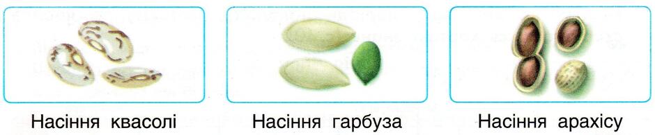 0400bo7k-b337-940x195.jpg