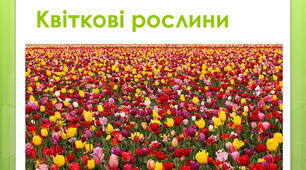 Рослини моєї Батьківщини. Квіткові рослини