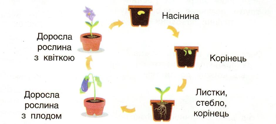 0400bofo-9874-940x424.jpg