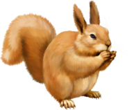 0400bom3-6939-186x159.png
