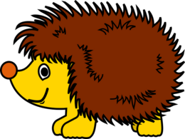 0400boqd-6287-260x195.png