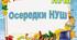 Навчальні осередки "Осередки 5 клас НУШ"