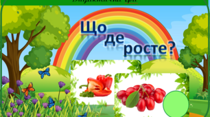 Дидактична гра "Що де росте?" ознайомлення з природнім довкіллям