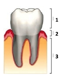 0400brq5-2adc-215x269.png