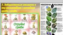 Презентація з теми: "Безпечні осінні канікули"
