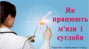 Презентація до уроку Я досліджую світ -  Як  працюють м'язи  і  суглоби (3 клас)