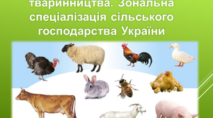 Структура та розміщення тваринництва