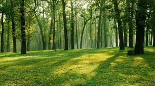 Конспект уроку. Групи слів за значенням. Антоніми