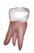 0400c8ow-fcec-72x110.png