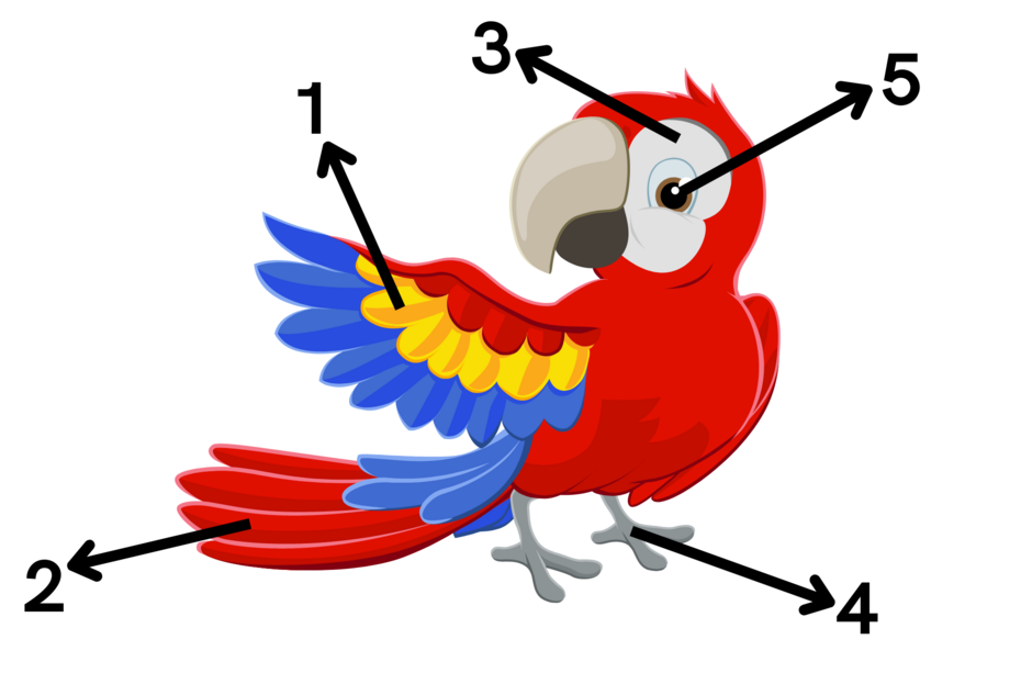 0400c97r-ca70-940x613.png