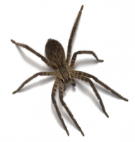 0400cbje-881c-191x200.png