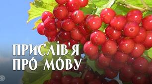 Прислів’я та приказки про українську мову для дітей