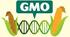 Конспект уроку на тему "Genetically-modified food"