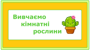 Відеопрезентація "Вивчаємо кімнатні рослини"