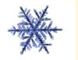 0400cmgw-d342-115x89.png