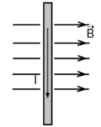 0400cmyl-48c5-101x127.png