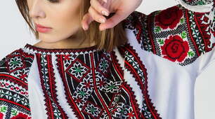 У дружньому слов'янському колі (продовження)