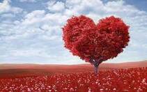 St Valentine's Day | Ibiza Spotlight