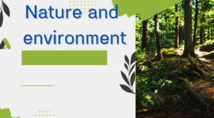 Environment