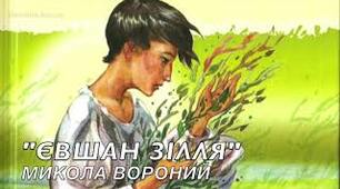 (Копія) Тести М. Вороний "Євшан-зілля"
