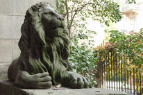 0400ctza-9dbf-206x137.jpg