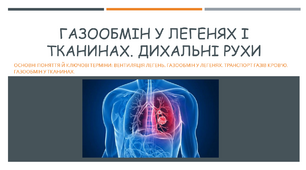 Газообмін у легенях і тканинах. Дихальні рухи