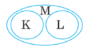 0400d08c-2046-124x73.png