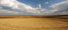0400d5r9-8fab-239x106.jpg