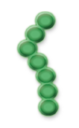 0400d8g5-e07c-79x128.png