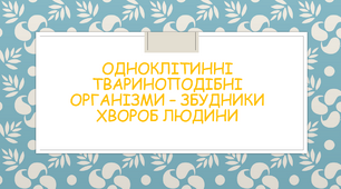 Одноклітинні твариноподібні організми - збудники хвороб людини.