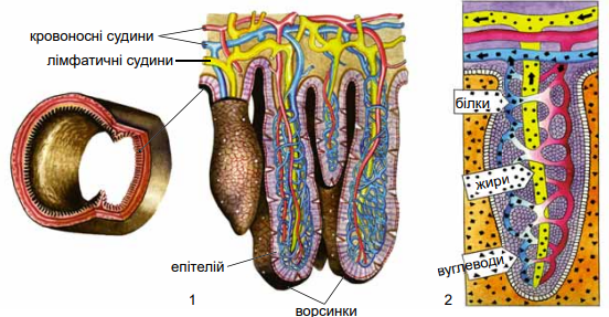 0400dg09-f848-552x287.png