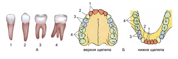 0400dg3i-3ebe-600x200.png
