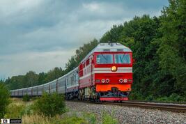 0400di56-ff81-267x178.jpg