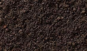 Ґрунт для кавунів починають готувати після збирання попередника - AgroTimes