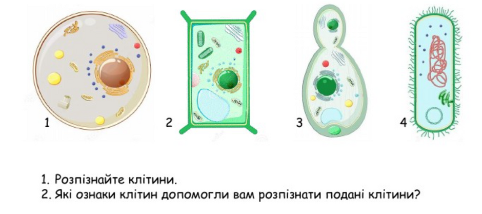 0400dis1-50d8-940x417.png