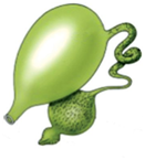 0400dl2x-4c70-131x145.png